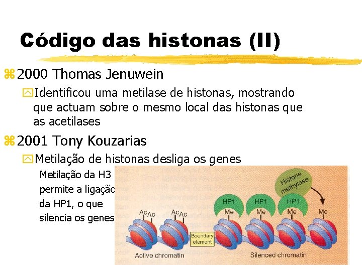 Código das histonas (II) z 2000 Thomas Jenuwein y. Identificou uma metilase de histonas,