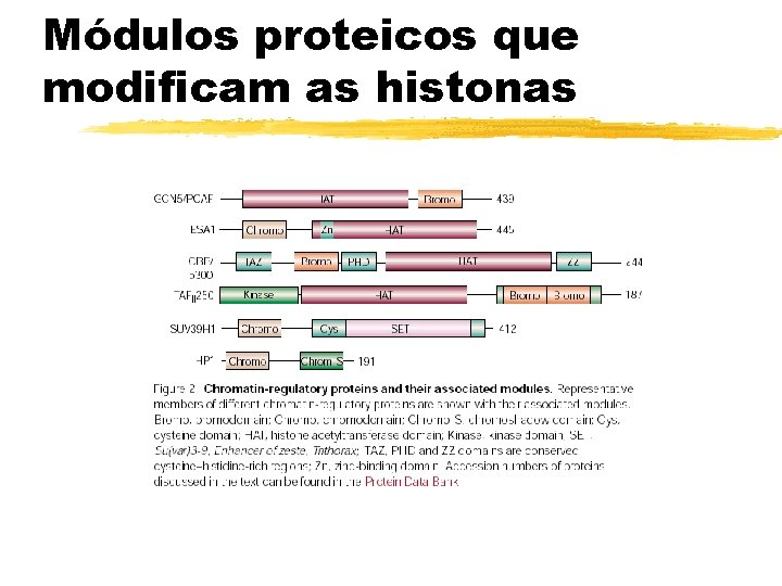 Módulos proteicos que modificam as histonas 