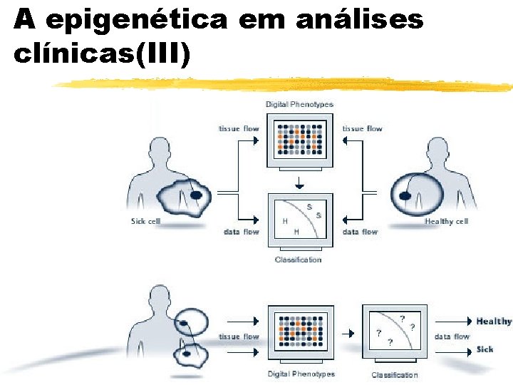 A epigenética em análises clínicas(III) 