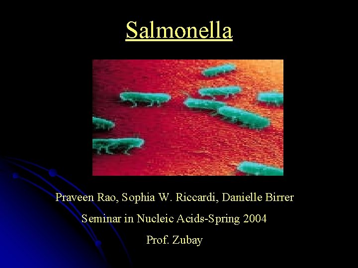 Salmonella Praveen Rao, Sophia W. Riccardi, Danielle Birrer Seminar in Nucleic Acids-Spring 2004 Prof.