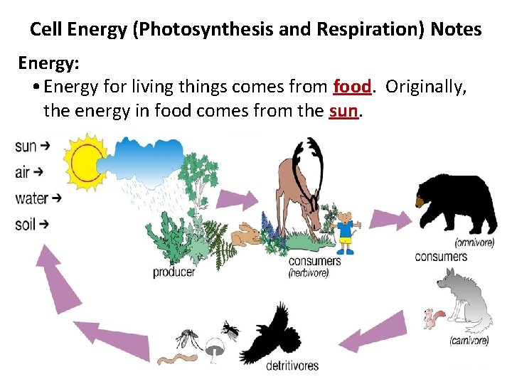 Cell Energy (Photosynthesis and Respiration) Notes Energy: • Energy for living things comes from