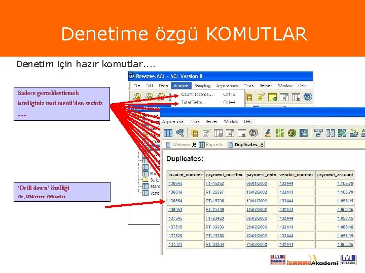 Denetime özgü KOMUTLAR Denetim için hazır komutlar. . Sadece gerceklestirmek istediginiz testi menü’den seciniz