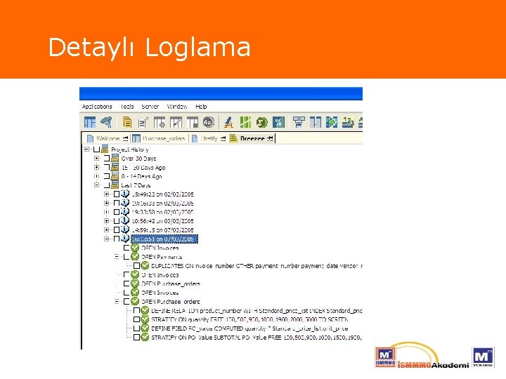 Detaylı Loglama 
