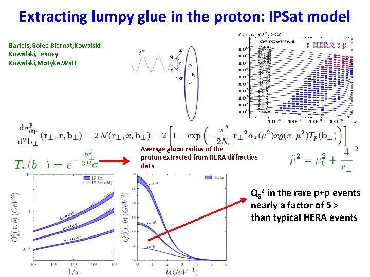 Extracting lumpy glue in the proton: IPSat model Bartels, Golec-Biernat, Kowalski, Teaney Kowalski, Motyka, Extracting lumpy glue in the proton: IPSat model Bartels, Golec-Biernat, Kowalski, Teaney Kowalski, Motyka,