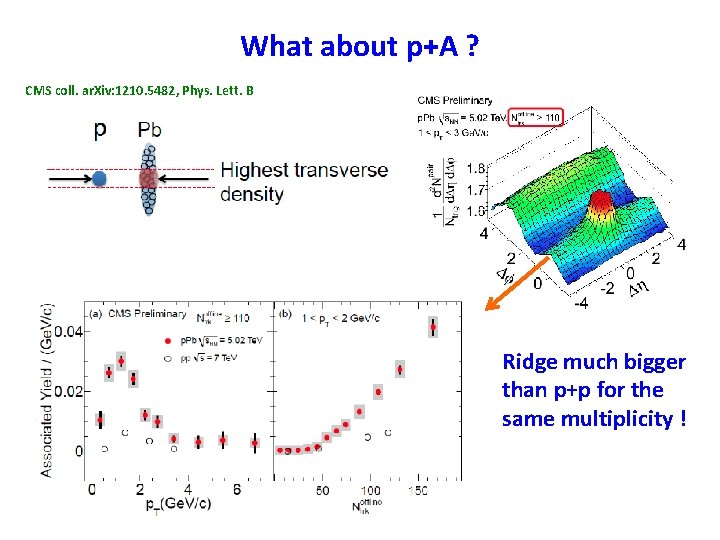 What about p+A ? CMS coll. ar. Xiv: 1210. 5482, Phys. Lett. B Ridge What about p+A ? CMS coll. ar. Xiv: 1210. 5482, Phys. Lett. B Ridge