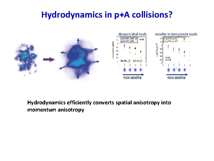 Hydrodynamics in p+A collisions? Hydrodynamics efficiently converts spatial anisotropy into momentum anisotropy Hydrodynamics in p+A collisions? Hydrodynamics efficiently converts spatial anisotropy into momentum anisotropy