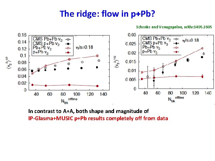 The ridge: flow in p+Pb? Schenke and Venugopalan, ar. Xiv: 1405. 3605 In contrast The ridge: flow in p+Pb? Schenke and Venugopalan, ar. Xiv: 1405. 3605 In contrast
