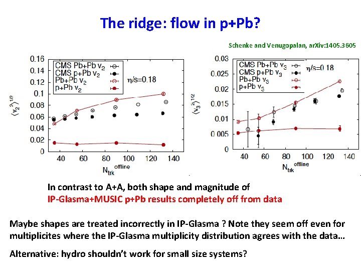 The ridge: flow in p+Pb? Schenke and Venugopalan, ar. Xiv: 1405. 3605 In contrast The ridge: flow in p+Pb? Schenke and Venugopalan, ar. Xiv: 1405. 3605 In contrast