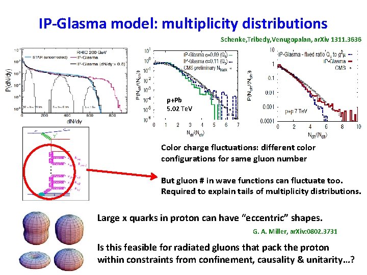 IP-Glasma model: multiplicity distributions Schenke, Tribedy, Venugopalan, ar. Xiv 1311. 3636 p+Pb 5. 02 IP-Glasma model: multiplicity distributions Schenke, Tribedy, Venugopalan, ar. Xiv 1311. 3636 p+Pb 5. 02