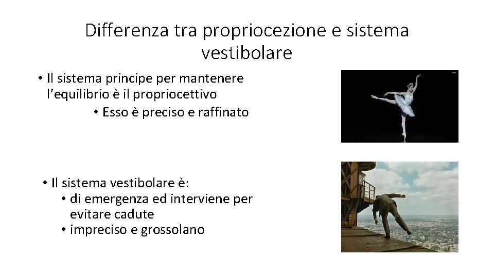 Differenza tra propriocezione e sistema vestibolare • Il sistema principe per mantenere l’equilibrio è