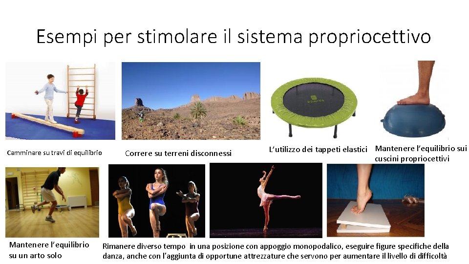 Esempi per stimolare il sistema propriocettivo Camminare su travi di equilibrio Mantenere l’equilibrio su