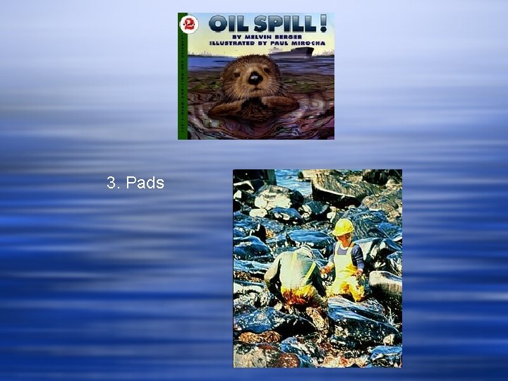 3. Pads 3. Pads