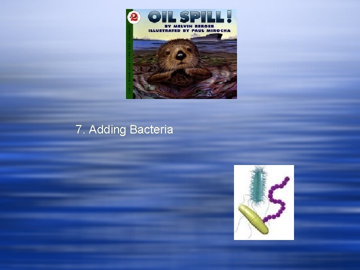 7. Adding Bacteria 7. Adding Bacteria