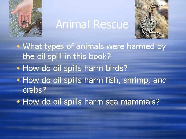 Animal Rescue w What types of animals were harmed by the oil spill in Animal Rescue w What types of animals were harmed by the oil spill in