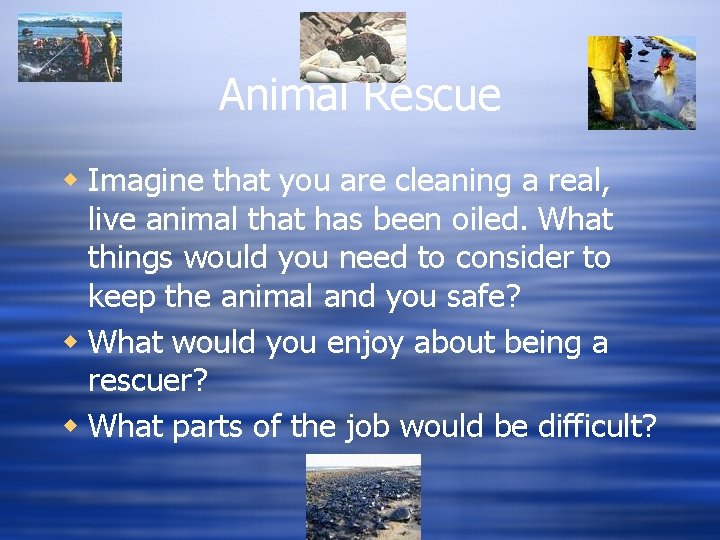 Animal Rescue w Imagine that you are cleaning a real, live animal that has Animal Rescue w Imagine that you are cleaning a real, live animal that has