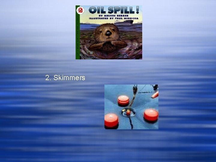 2. Skimmers 2. Skimmers