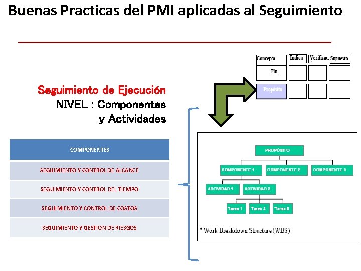 Buenas Practicas del PMI aplicadas al Seguimiento de Ejecución NIVEL : Componentes y Actividades