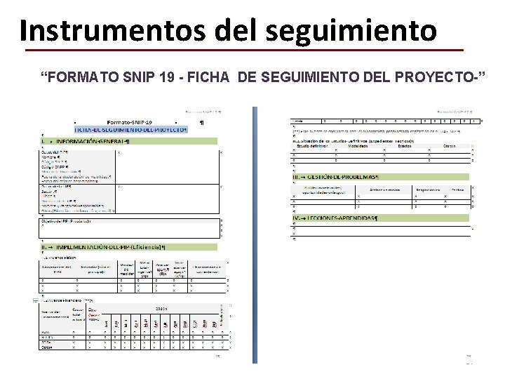 Instrumentos del seguimiento “FORMATO SNIP 19 - FICHA DE SEGUIMIENTO DEL PROYECTO-” 37 