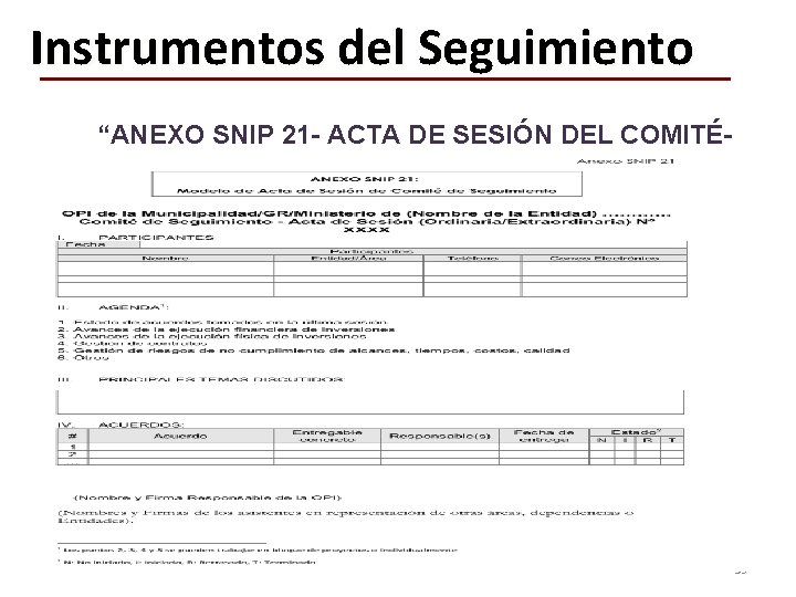 Instrumentos del Seguimiento “ANEXO SNIP 21 - ACTA DE SESIÓN DEL COMITÉ- 39 