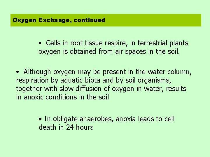 Oxygen Exchange, continued • Cells in root tissue respire, in terrestrial plants oxygen is