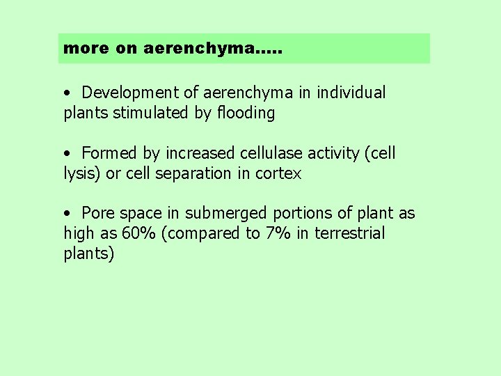 more on aerenchyma…. . • Development of aerenchyma in individual plants stimulated by flooding