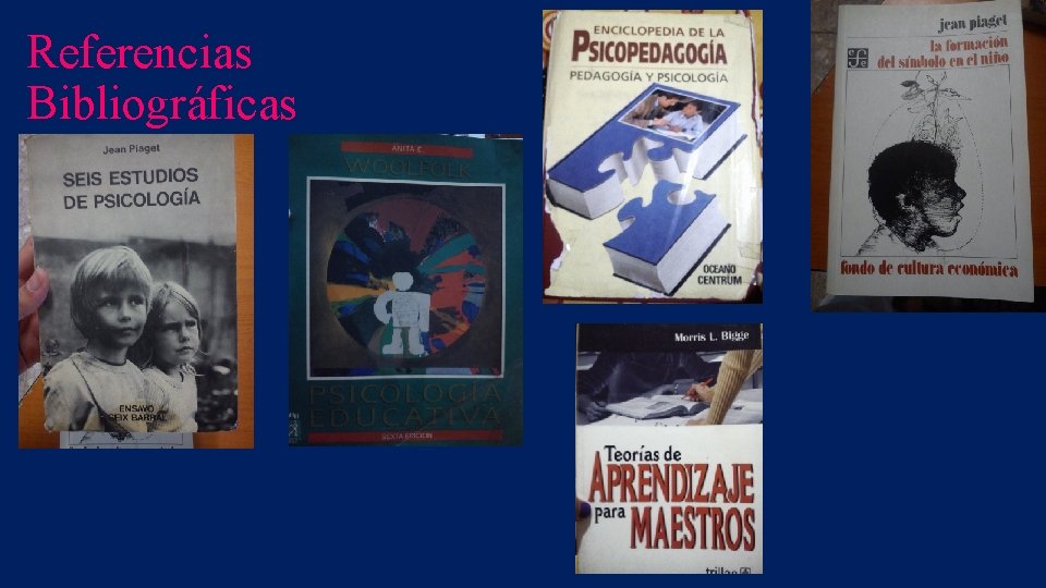 Referencias Bibliográficas 