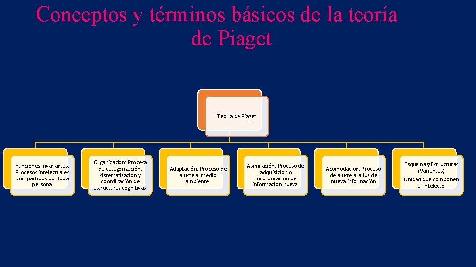 Conceptos y términos básicos de la teoría de Piaget Teoría de Piaget Funciones invariantes: