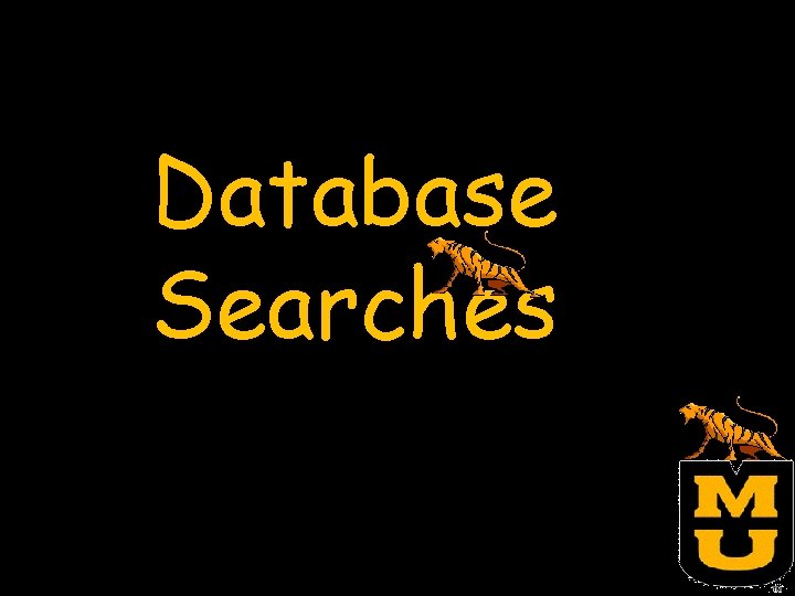 Database Searches 