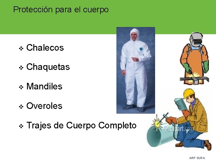 Protección para el cuerpo v Chalecos v Chaquetas v Mandiles v Overoles v Trajes