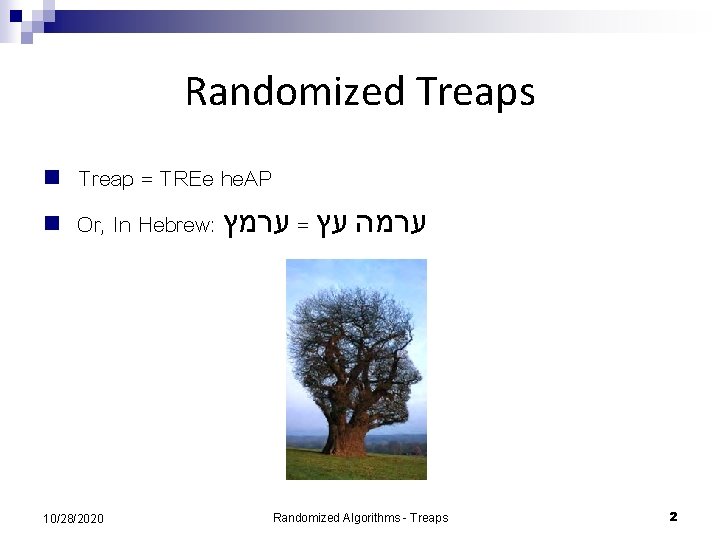 Randomized Treaps n n Treap = TREe he. AP Or, In Hebrew: ערמה עץ