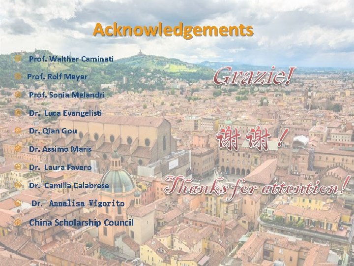 Acknowledgements Prof. Walther Caminati Prof. Rolf Meyer Prof. Sonia Melandri Dr. Luca Evangelisti Dr.