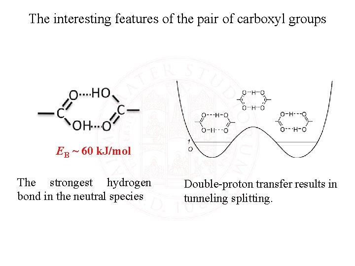 The interesting features of the pair of carboxyl groups EB ~ 60 k. J/mol