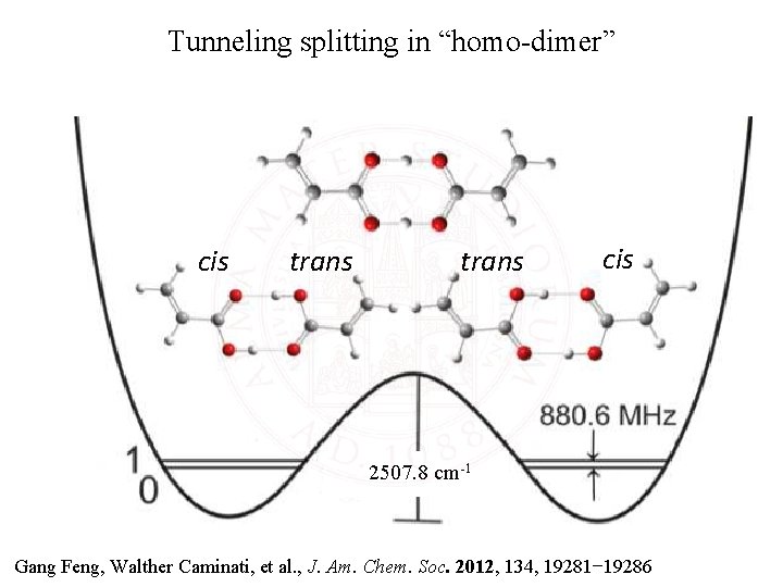 Tunneling splitting in “homo-dimer” cis trans cis 2507. 8 cm-1 Gang Feng, Walther Caminati,