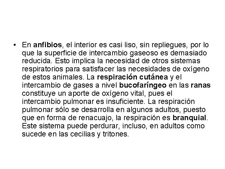 • En anfibios, el interior es casi liso, sin repliegues, por lo que • En anfibios, el interior es casi liso, sin repliegues, por lo que