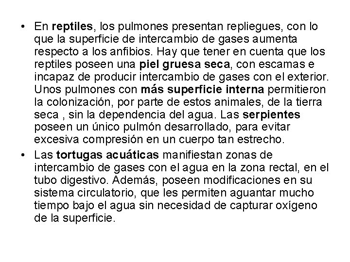 • En reptiles, los pulmones presentan repliegues, con lo que la superficie de • En reptiles, los pulmones presentan repliegues, con lo que la superficie de