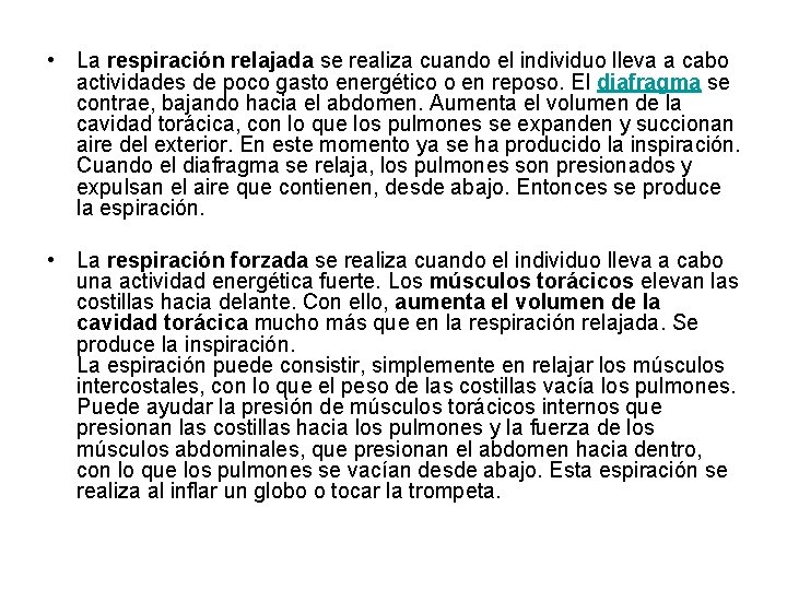 • La respiración relajada se realiza cuando el individuo lleva a cabo actividades • La respiración relajada se realiza cuando el individuo lleva a cabo actividades