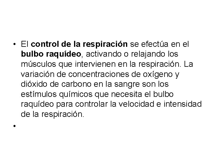 • El control de la respiración se efectúa en el bulbo raquídeo, activando • El control de la respiración se efectúa en el bulbo raquídeo, activando