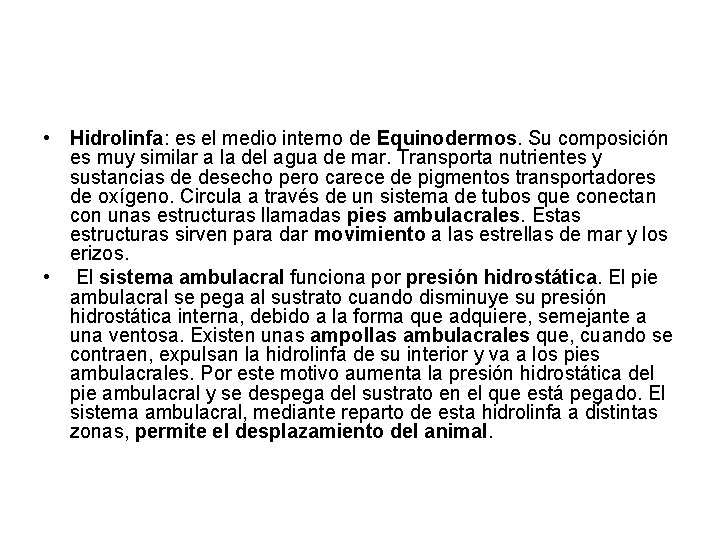 • Hidrolinfa: es el medio interno de Equinodermos. Su composición es muy similar • Hidrolinfa: es el medio interno de Equinodermos. Su composición es muy similar