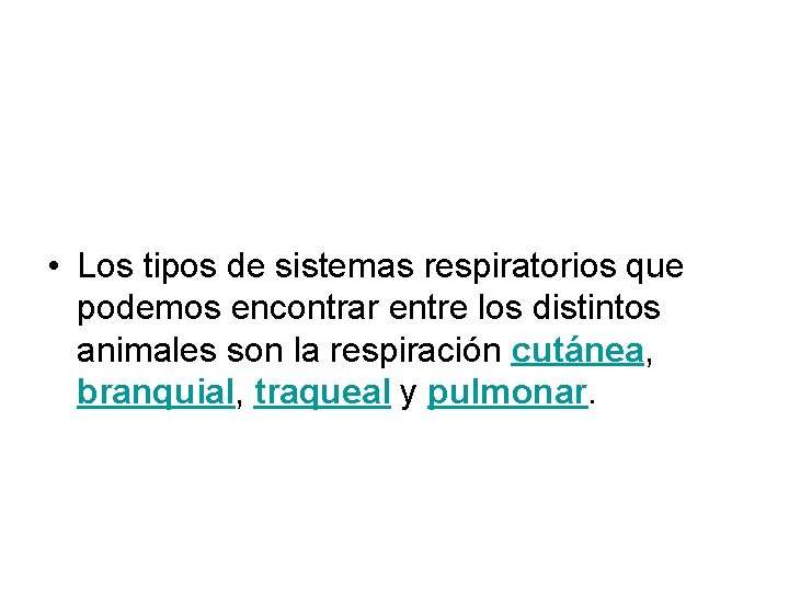 • Los tipos de sistemas respiratorios que podemos encontrar entre los distintos animales • Los tipos de sistemas respiratorios que podemos encontrar entre los distintos animales