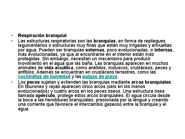 • • • Respiración branquial Las estructuras respiratorias son las branquias, en forma • • • Respiración branquial Las estructuras respiratorias son las branquias, en forma