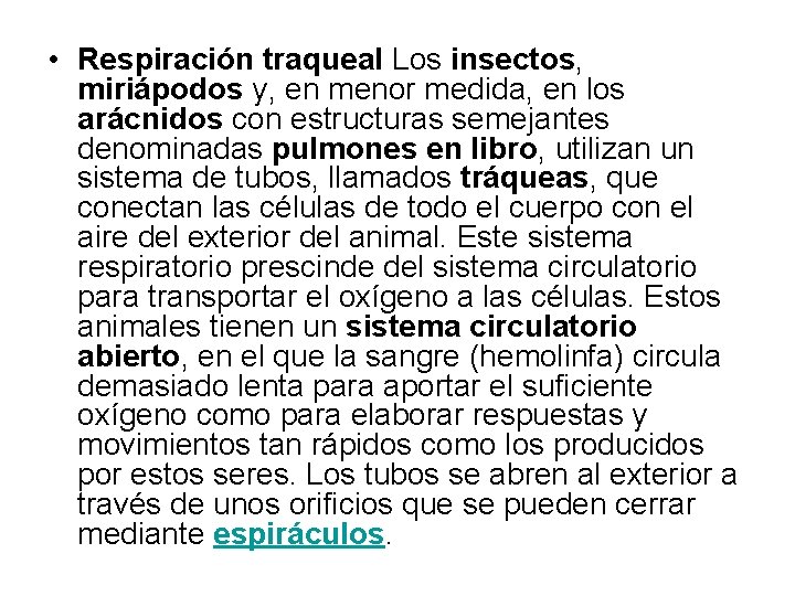• Respiración traqueal Los insectos, miriápodos y, en menor medida, en los arácnidos • Respiración traqueal Los insectos, miriápodos y, en menor medida, en los arácnidos