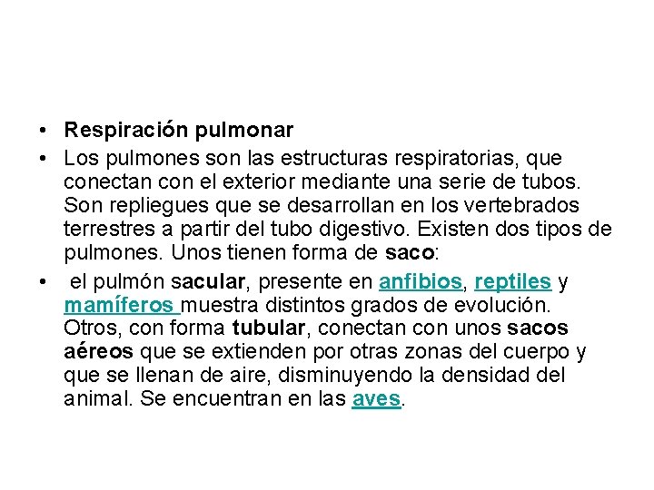 • Respiración pulmonar • Los pulmones son las estructuras respiratorias, que conectan con • Respiración pulmonar • Los pulmones son las estructuras respiratorias, que conectan con
