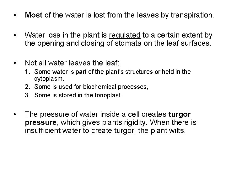 • Most of the water is lost from the leaves by transpiration. • • Most of the water is lost from the leaves by transpiration. •