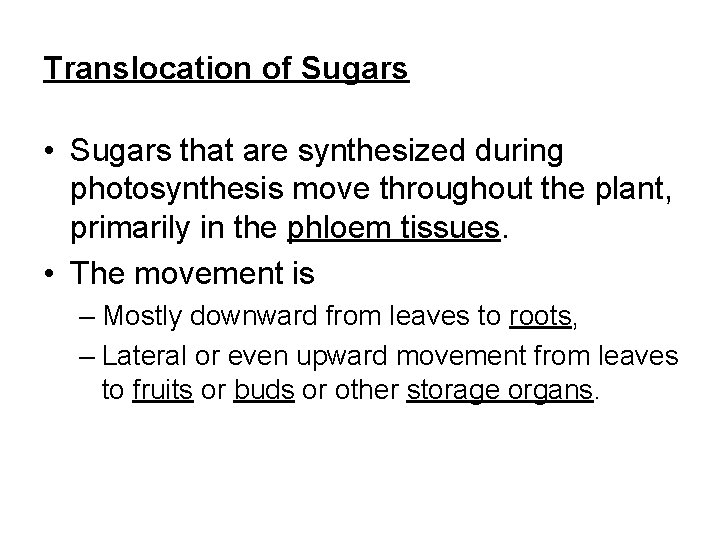 Translocation of Sugars • Sugars that are synthesized during photosynthesis move throughout the plant, Translocation of Sugars • Sugars that are synthesized during photosynthesis move throughout the plant,