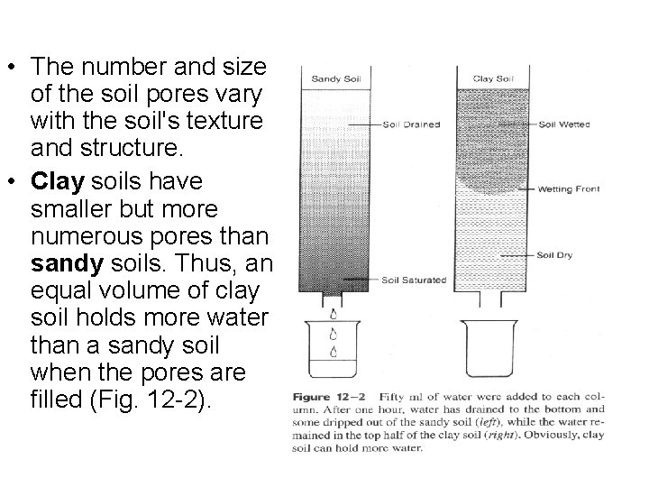 • The number and size of the soil pores vary with the soil's • The number and size of the soil pores vary with the soil's