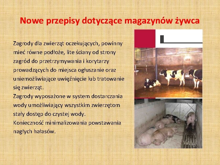 Nowe przepisy dotyczące magazynów żywca Zagrody dla zwierząt oczekujących, powinny mieć równe podłoże, lite