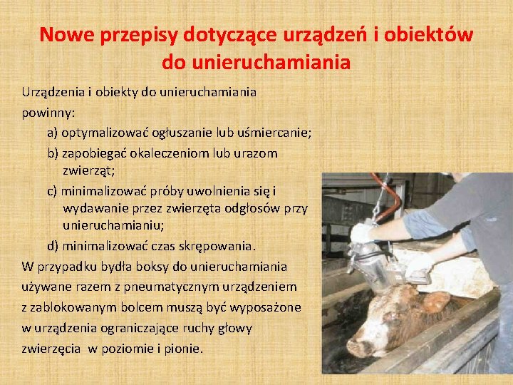 Nowe przepisy dotyczące urządzeń i obiektów do unieruchamiania Urządzenia i obiekty do unieruchamiania powinny: