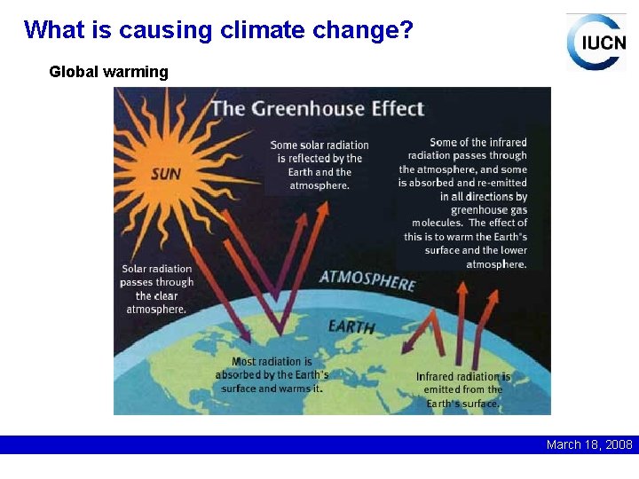 What is causing climate change? Global warming March 18, 2008 