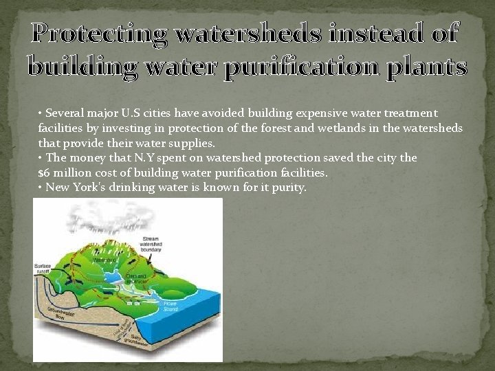 Protecting watersheds instead of building water purification plants • Several major U. S cities