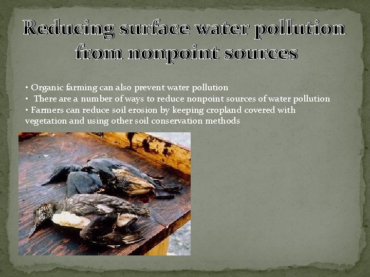 Reducing surface water pollution from nonpoint sources • Organic farming can also prevent water